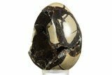 Bargain, Septarian Dragon Egg Geode - Sparkly Black Crystals #344443-2